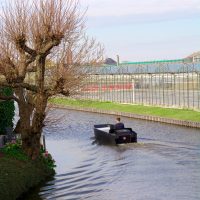 Solidny MT 425 Robbie 03